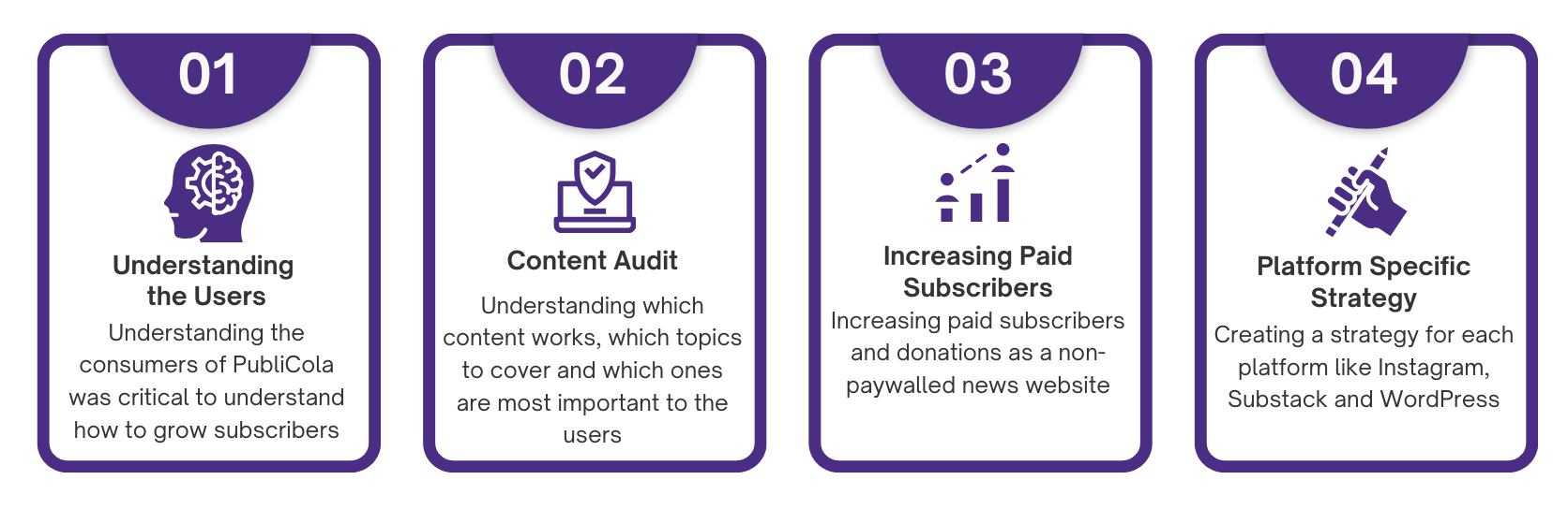 Understanding the Users, Content Audit, Increasing Paid Subscribers, Platform Specific Strategy